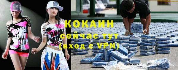 ГАЛЛЮЦИНОГЕННЫЕ ГРИБЫ Абаза