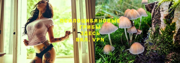 ГАЛЛЮЦИНОГЕННЫЕ ГРИБЫ Абдулино