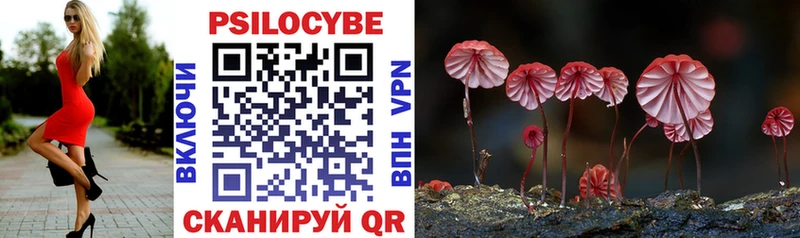 Галлюциногенные грибы Cubensis  площадка состав  Никольское  блэк спрут маркетплейс 